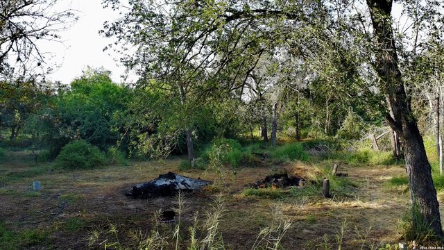 23798 MATHIS RD, Elmendorf, TX 78112
