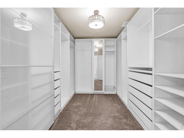 6028 Moran Rd, Timnath, CO 80547