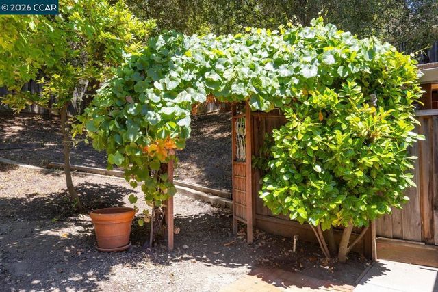 19 Valley Dr, Orinda, CA 94563