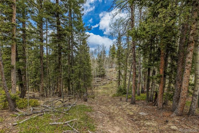 153 Moss Rock Court, Divide, CO 80814
