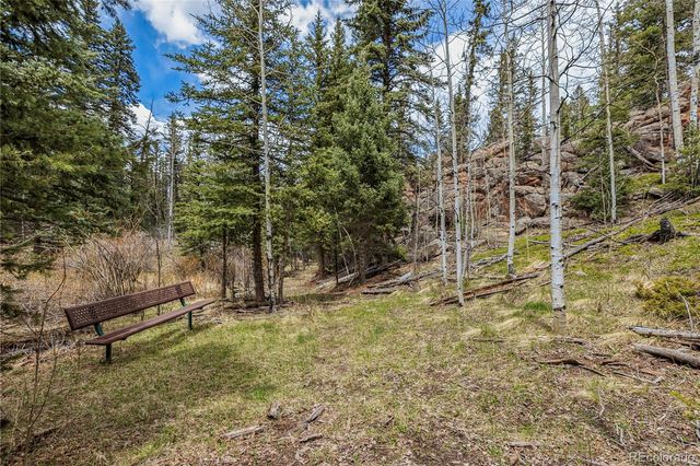 153 Moss Rock Court, Divide, CO 80814