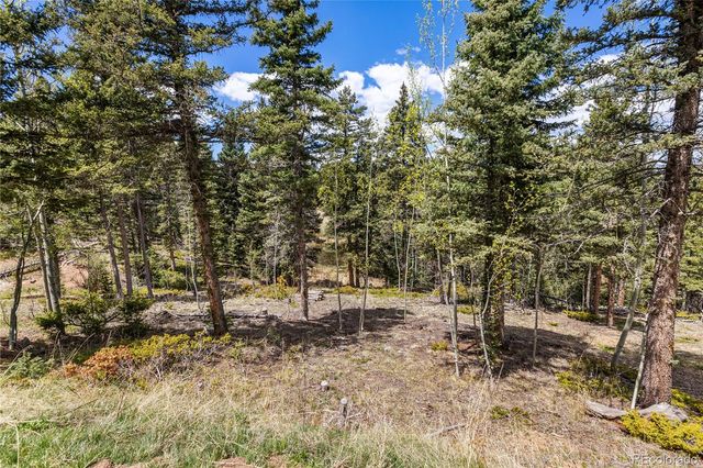 153 Moss Rock Court, Divide, CO 80814