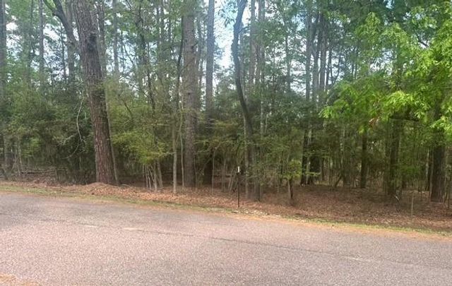 132 S Royale Greens Drive, Coldspring, TX 77331