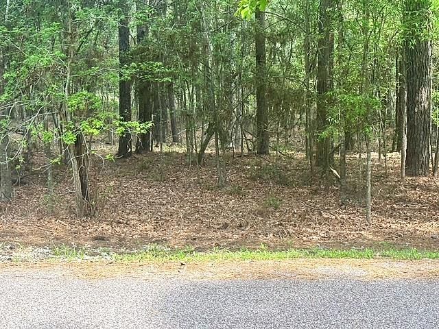 132 S Royale Greens Drive, Coldspring, TX 77331