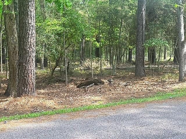 132 S Royale Greens Drive, Coldspring, TX 77331