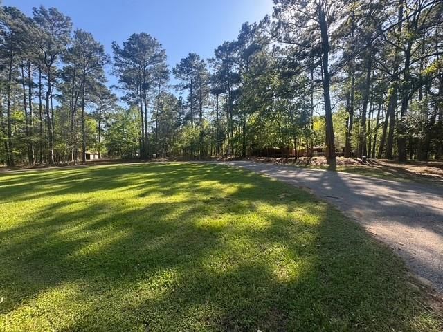 132 S Royale Greens Drive, Coldspring, TX 77331