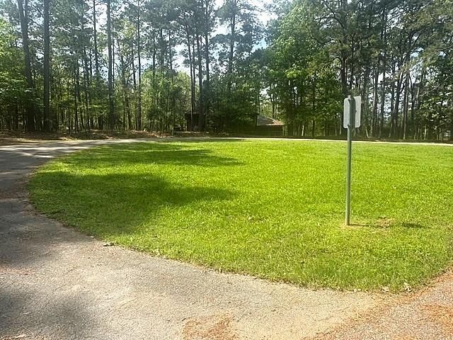 132 S Royale Greens Drive, Coldspring, TX 77331