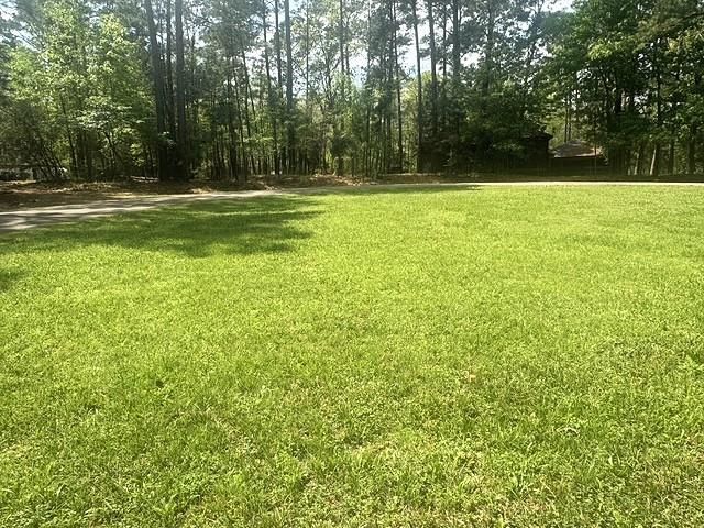 132 S Royale Greens Drive, Coldspring, TX 77331