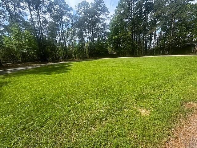 132 S Royale Greens Drive, Coldspring, TX 77331