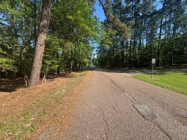 132 S Royale Greens Drive, Coldspring, TX 77331