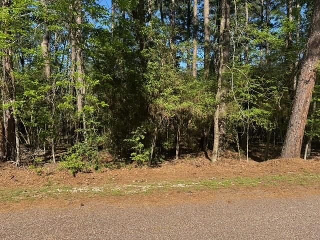 132 S Royale Greens Drive, Coldspring, TX 77331