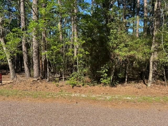 132 S Royale Greens Drive, Coldspring, TX 77331