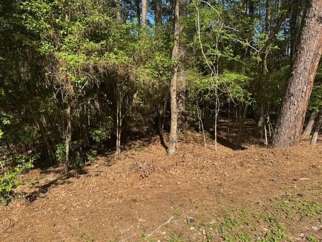 132 S Royale Greens Drive, Coldspring, TX 77331