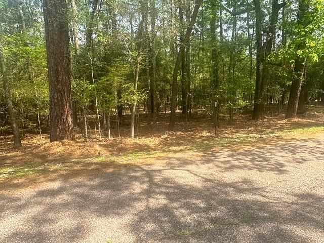 132 S Royale Greens Drive, Coldspring, TX 77331