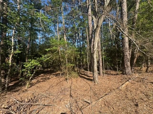 132 S Royale Greens Drive, Coldspring, TX 77331