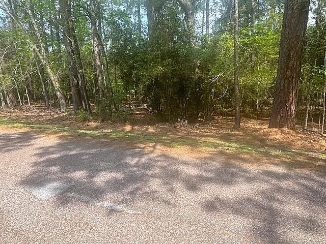 132 S Royale Greens Drive, Coldspring, TX 77331