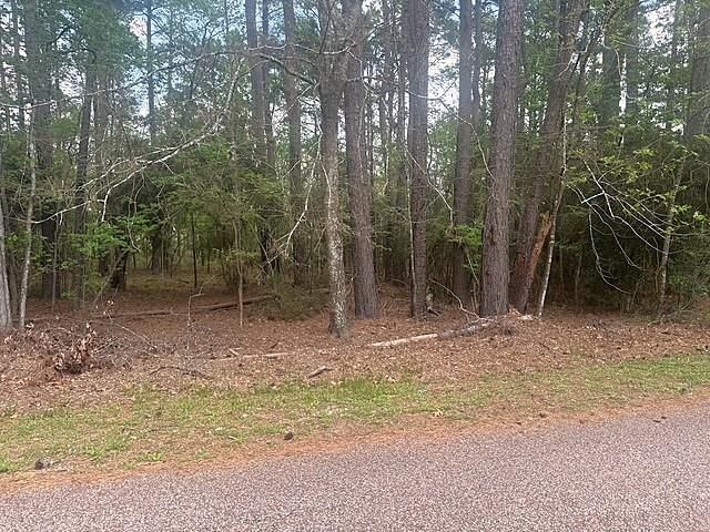 132 S Royale Greens Drive, Coldspring, TX 77331