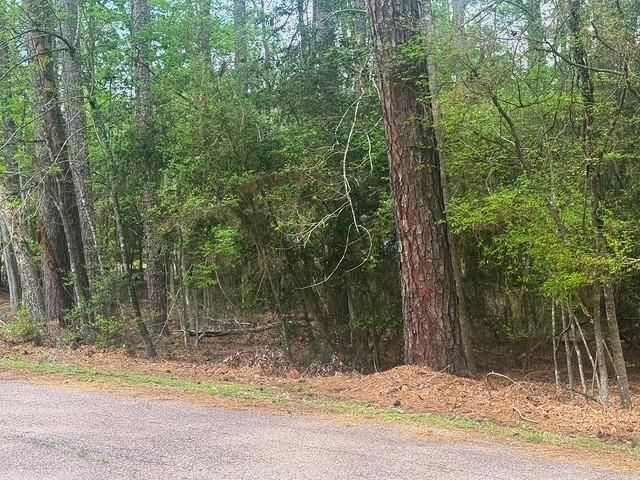 132 S Royale Greens Drive, Coldspring, TX 77331