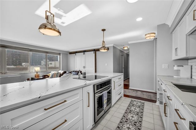 12520 Edgewater Drive 1106, Lakewood, OH 44107