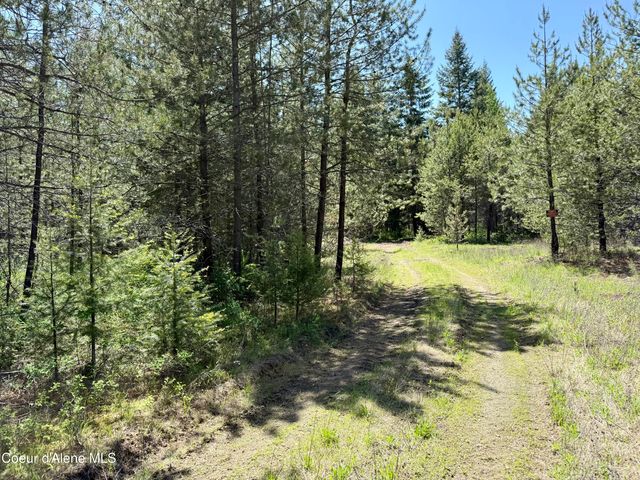 Lot 44 Doc Holliday DR, Spirit Lake, ID 83869