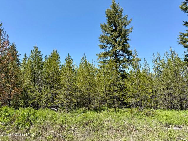 Lot 44 Doc Holliday DR, Spirit Lake, ID 83869