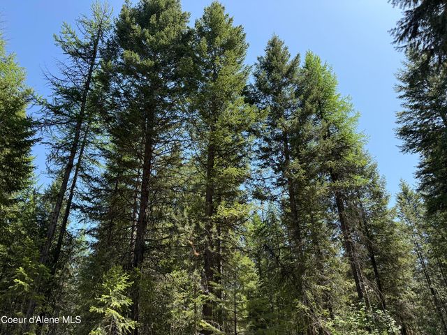 Lot 44 Doc Holliday DR, Spirit Lake, ID 83869