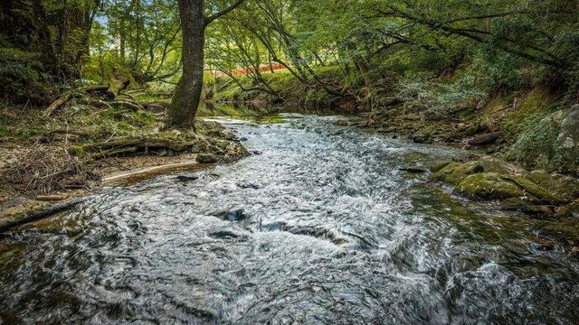 66 Woodland Trail, Epworth, GA 30541