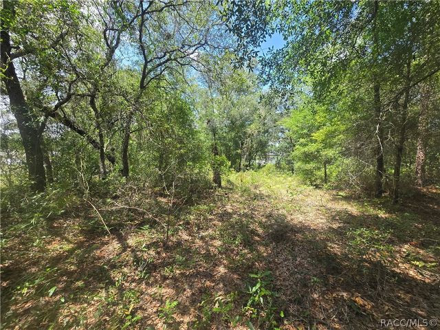 8365 N Ibsen Drive, Citrus Springs, FL 34433