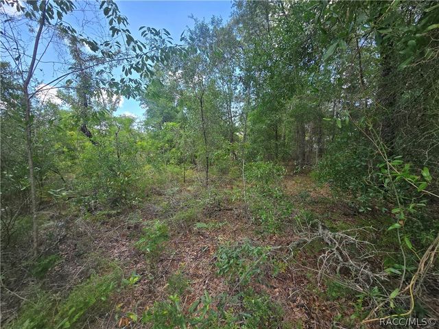8365 N Ibsen Drive, Citrus Springs, FL 34433