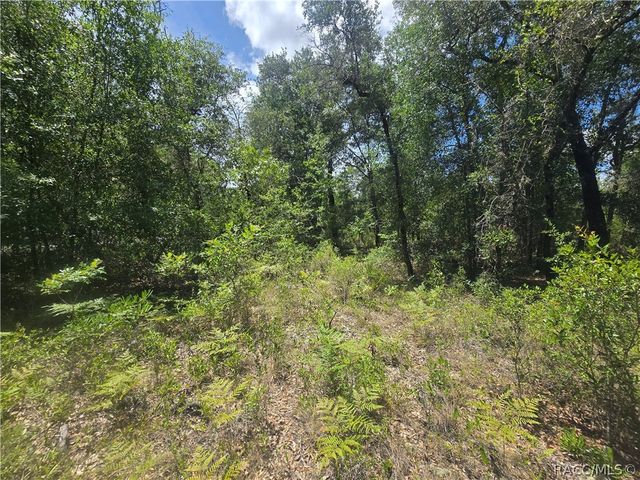 8365 N Ibsen Drive, Citrus Springs, FL 34433
