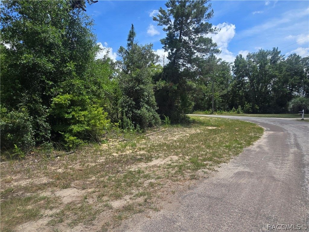 8365 N Ibsen Drive, Citrus Springs, FL 34433