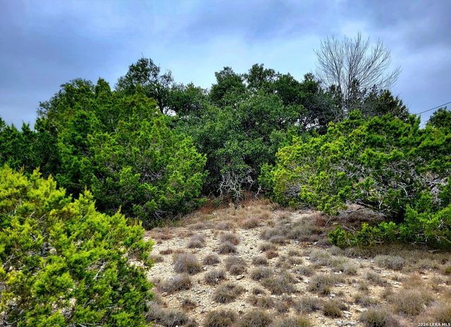 171 Appaloosa Dr, Fischer, TX 78623