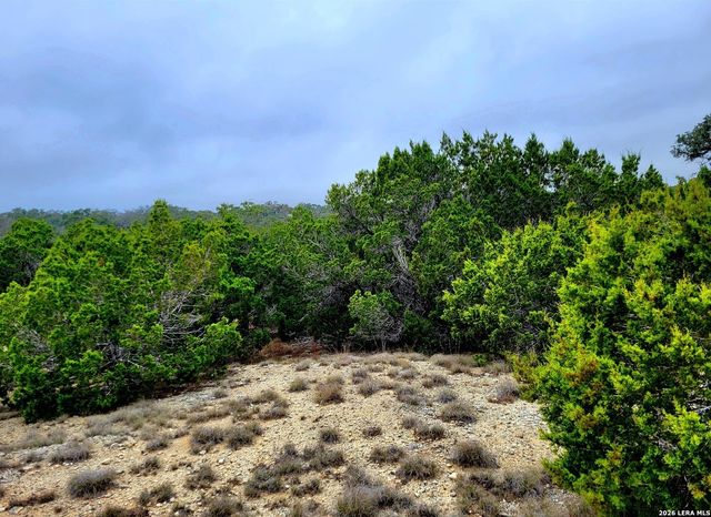 171 Appaloosa Dr, Fischer, TX 78623