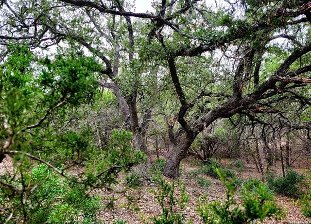 171 Appaloosa Dr, Fischer, TX 78623