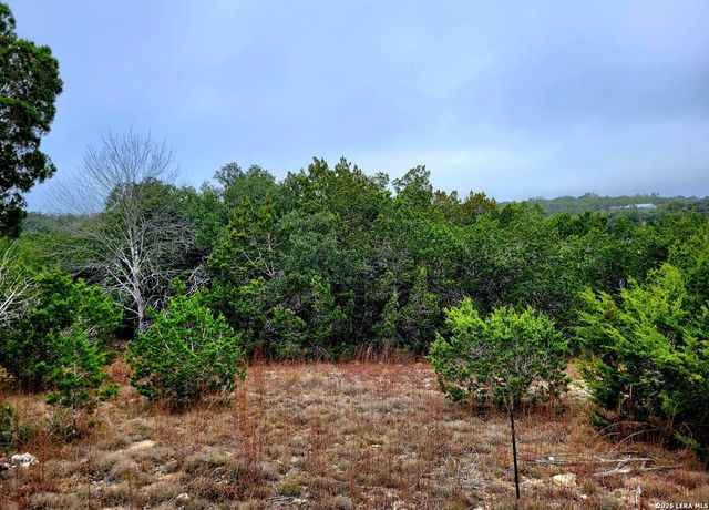 171 Appaloosa Dr, Fischer, TX 78623