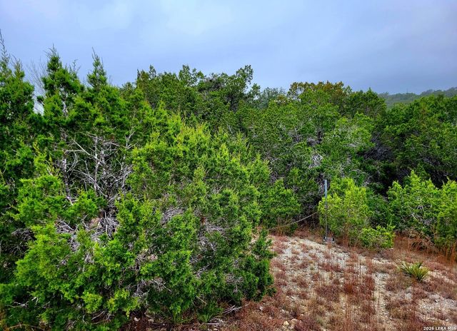 171 Appaloosa Dr, Fischer, TX 78623