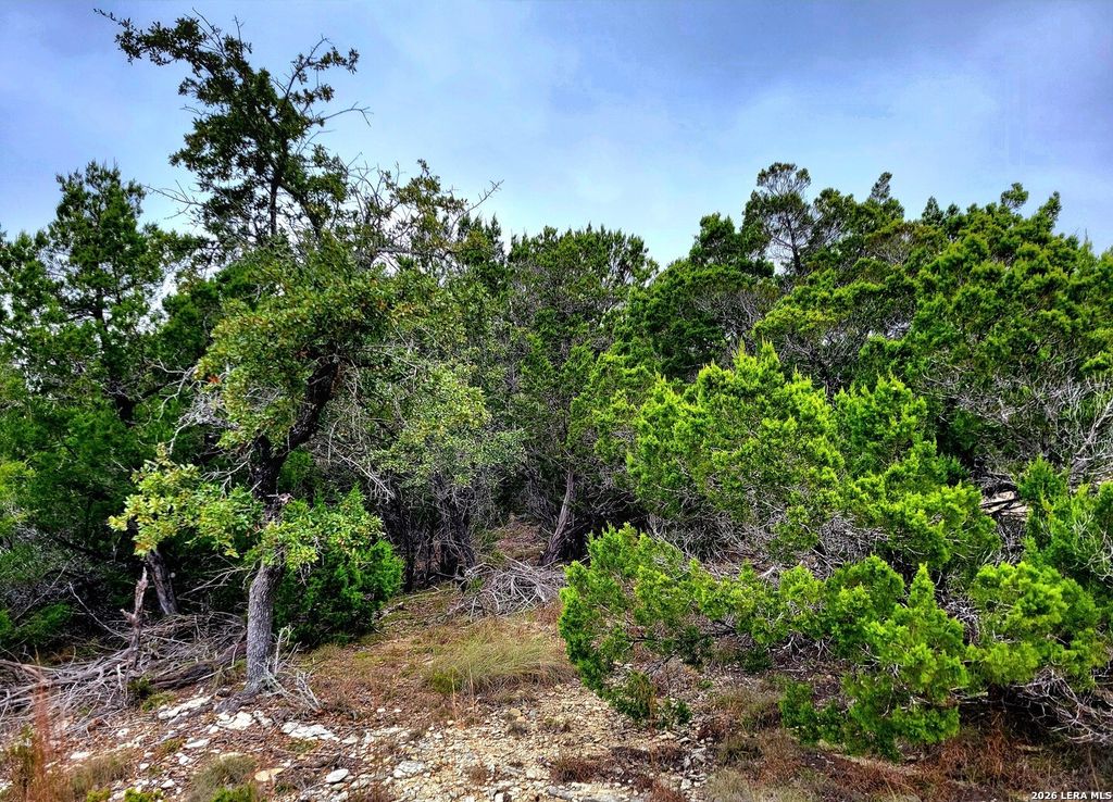 171 Appaloosa Dr, Fischer, TX 78623