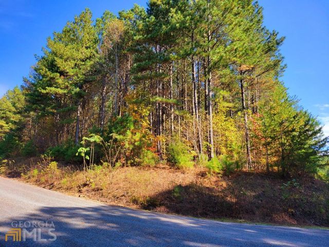 LOT 6 Black Bear Ridge Road 6, Ellijay, GA 30536