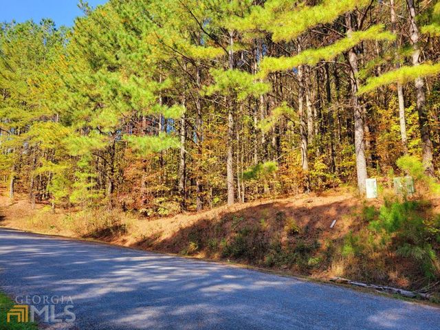 LOT 6 Black Bear Ridge Road 6, Ellijay, GA 30536