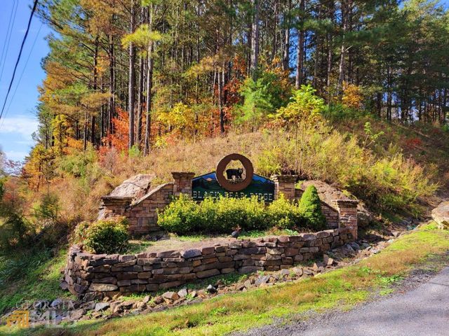 LOT 6 Black Bear Ridge Road 6, Ellijay, GA 30536
