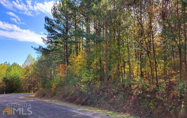 LOT 6 Black Bear Ridge Road 6, Ellijay, GA 30536