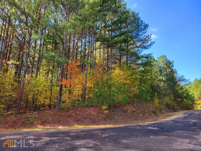 LOT 6 Black Bear Ridge Road 6, Ellijay, GA 30536
