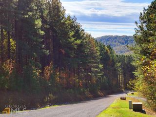 LOT 6 Black Bear Ridge Road 6, Ellijay, GA 30536