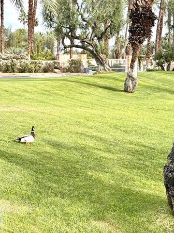 153 Willow Lake Drive, Palm Desert, CA 92260