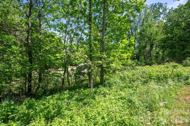 111 Dorchester Avenue, Asheville, NC 28806