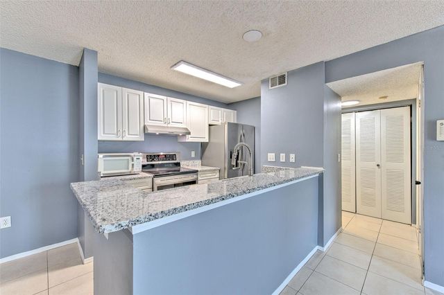 10028 STRAFFORD OAK COURT 716, Tampa, FL 33624