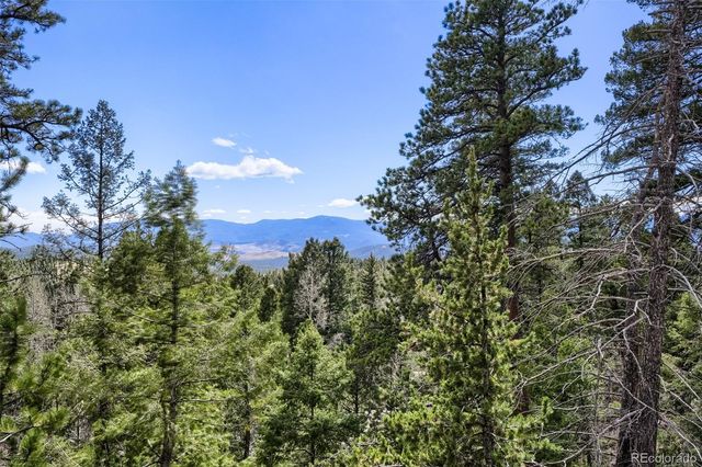 29821 Kings Valley E, Conifer, CO 80433