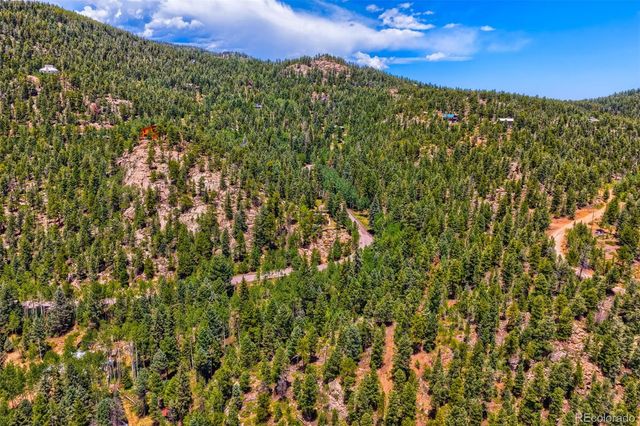29821 Kings Valley E, Conifer, CO 80433
