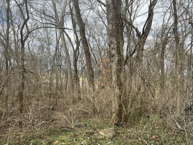 917 1st Ave, Mount Pleasant, TN 38474