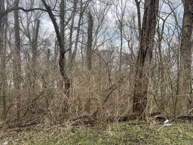 917 1st Ave, Mount Pleasant, TN 38474
